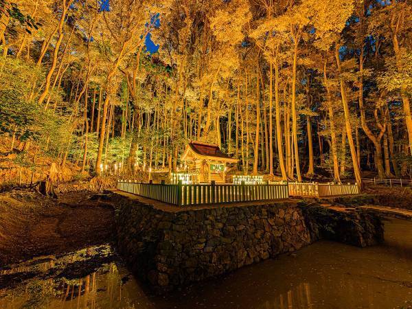 「神様が出てきそう」「威厳ある」　ライトアップされた京都のお寺がこちら