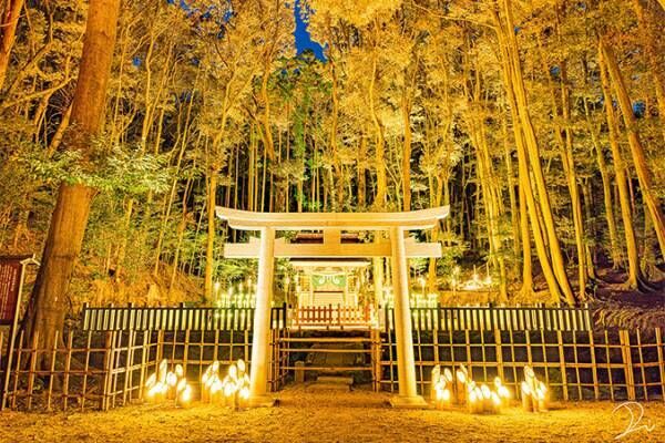 「神様が出てきそう」「威厳ある」　ライトアップされた京都のお寺がこちら