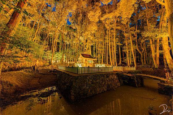 「神様が出てきそう」「威厳ある」　ライトアップされた京都のお寺がこちら