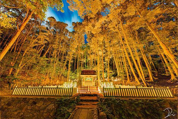 「神様が出てきそう」「威厳ある」　ライトアップされた京都のお寺がこちら