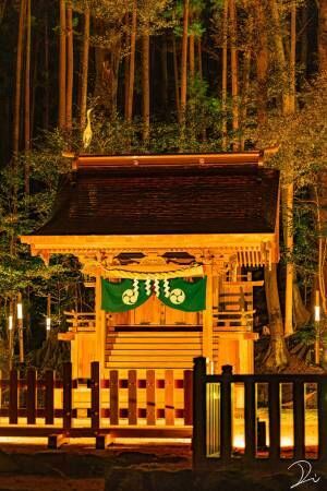 「神様が出てきそう」「威厳ある」　ライトアップされた京都のお寺がこちら