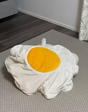 決定的瞬間を激写！　かわいすぎる猫　前脚だけで飼い主さんにアピール