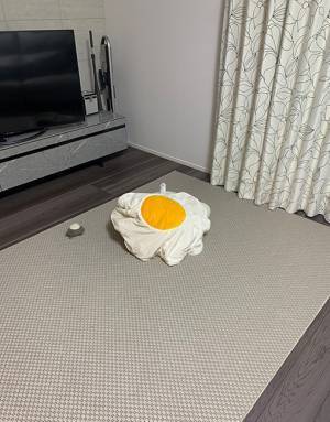 決定的瞬間を激写！　かわいすぎる猫　前脚だけで飼い主さんにアピール