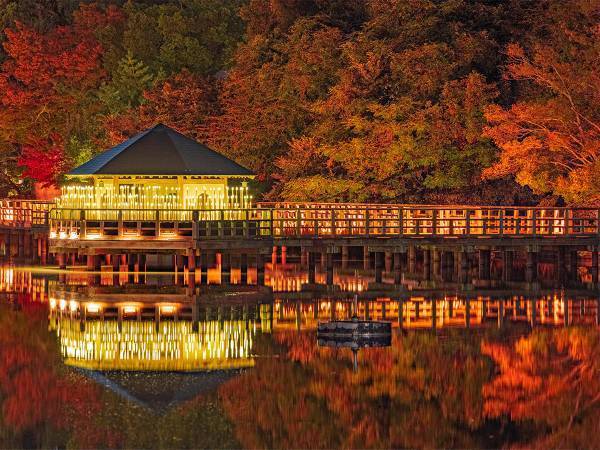 写真家が撮影した秋の京都に「光の宮殿」「すごくきれい」と絶賛の声！