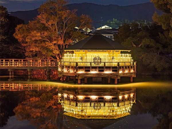 写真家が撮影した秋の京都に「光の宮殿」「すごくきれい」と絶賛の声！