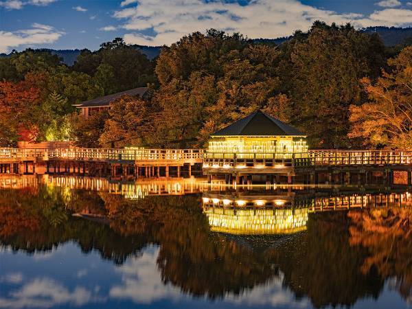 写真家が撮影した秋の京都に「光の宮殿」「すごくきれい」と絶賛の声！