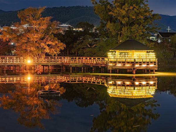 写真家が撮影した秋の京都に「光の宮殿」「すごくきれい」と絶賛の声！