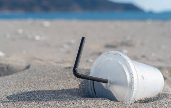 『砂浜のゴミ』　理論や単なる道徳心ではなく、日頃からの実践的な積み重ねが大切