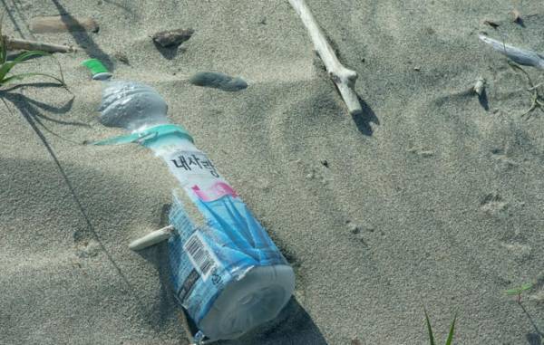 『砂浜のゴミ』　理論や単なる道徳心ではなく、日頃からの実践的な積み重ねが大切