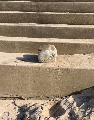 階段の上に猫がいると思ったら？　オチに「爆笑した」「これはムリ」