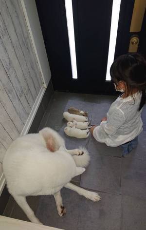 一体何を！？　玄関に座る娘の様子に「厳かに執り行われている…」