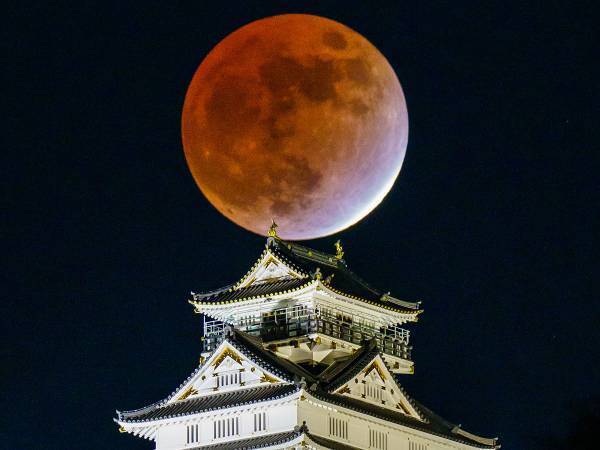 １４０年ぶり、ほぼ皆既月食　世紀の天体ショーを撮影した１枚に絶賛の声