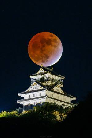 １４０年ぶり、ほぼ皆既月食　世紀の天体ショーを撮影した１枚に絶賛の声