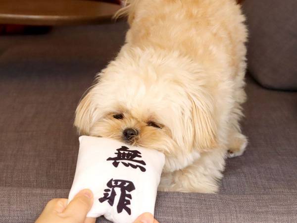 Twitterで話題になったオモチャが、まさかの商品化　『勝訴マスコット』が話題沸騰