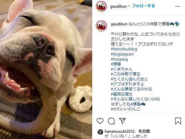 「ウソでしょー」「信じられない」の声が殺到！寝落ち動画が、可愛すぎ