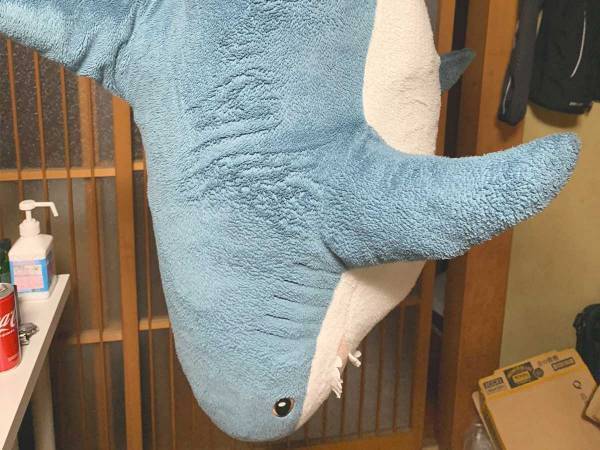 イケアの『サメぬいぐるみ』を祖母に預けたら…？　戻ってきた姿にジワる