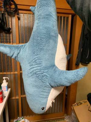 イケアの『サメぬいぐるみ』を祖母に預けたら…？　戻ってきた姿にジワる