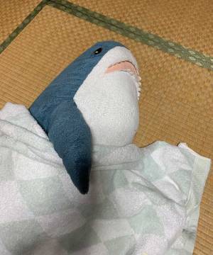 イケアの『サメぬいぐるみ』を祖母に預けたら…？　戻ってきた姿にジワる