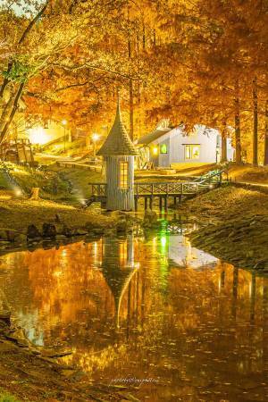 「日本にこんな場所があったなんて」　埼玉県で撮影された１枚に、絶賛の声