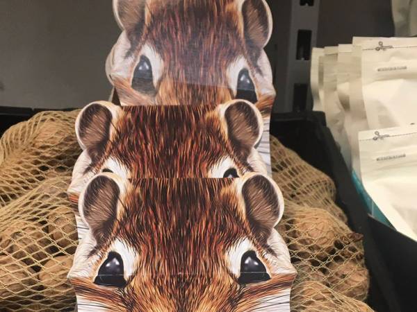 「なかなか思いつかない」「衝動買いしそう」　リスがデザインされたネットが？