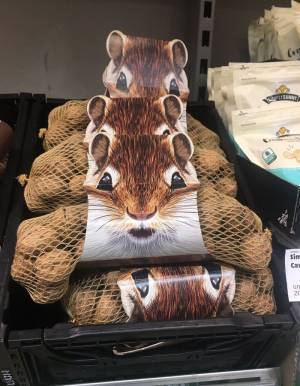 「なかなか思いつかない」「衝動買いしそう」　リスがデザインされたネットが？