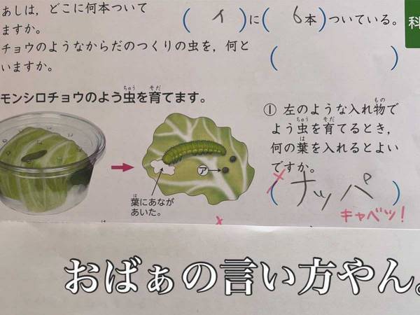 理科のドリルをのぞいたら…７歳娘の解答に「最高」「笑いすぎてお腹痛い」