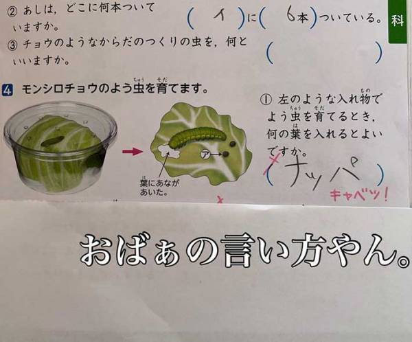 理科のドリルをのぞいたら…７歳娘の解答に「最高」「笑いすぎてお腹痛い」