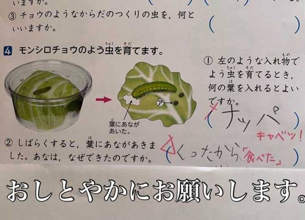理科のドリルをのぞいたら…７歳娘の解答に「最高」「笑いすぎてお腹痛い」
