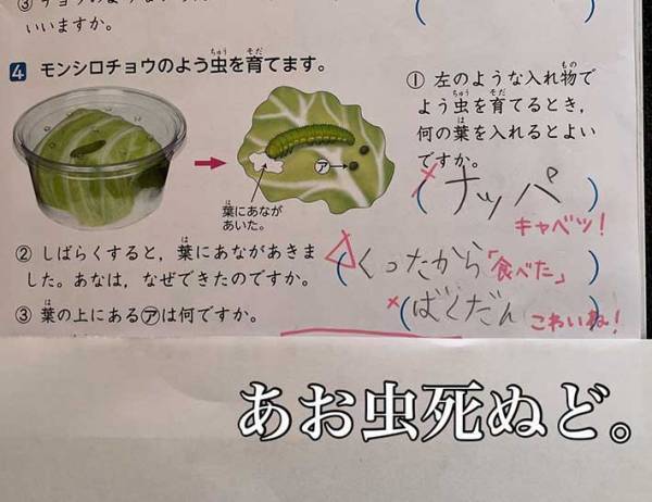 理科のドリルをのぞいたら…７歳娘の解答に「最高」「笑いすぎてお腹痛い」