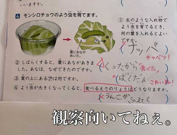 理科のドリルをのぞいたら…７歳娘の解答に「最高」「笑いすぎてお腹痛い」