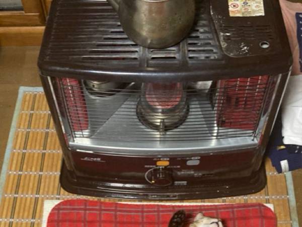 ストーブの前で眠る猫　豪快な寝姿に「野生を忘れてますね」