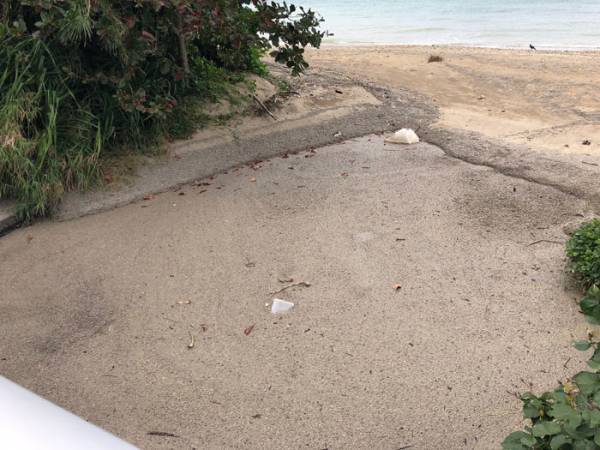 地面かと思って降りたら…　男性「軽石、許さん！」