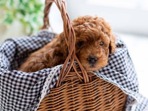 『よくあること』を、本当の『よくないこと』にしないためには