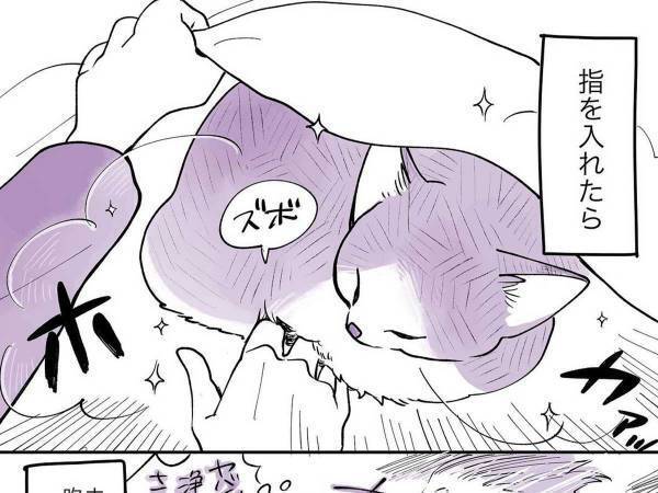 布団の中で眠る猫　飼い主が手を入れると…