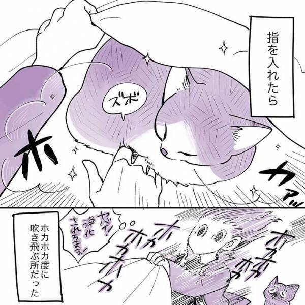 布団の中で眠る猫　飼い主が手を入れると…