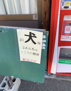 「ダメです」　禁止を訴える看板をよく見ると…？
