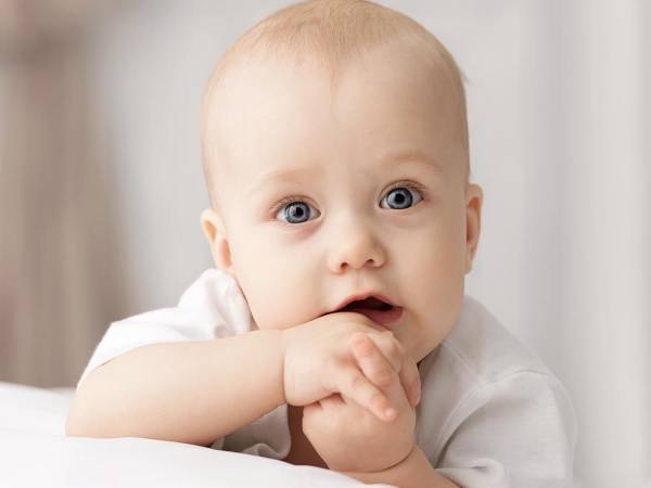 何の話かな？　赤ちゃんと『おもちゃ』の会話が大盛り上がり　「面白い」