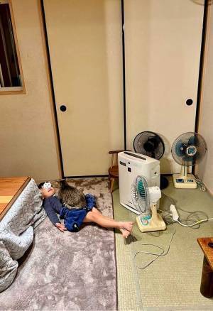 お風呂に入るよう、父親にいわれた息子　拒否した理由に「正論」の声