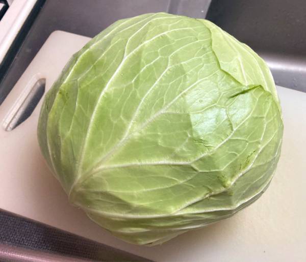 キャベツを千切りするのが面倒な時にオススメ　簡単レシピに「着眼点が素晴らしい！」