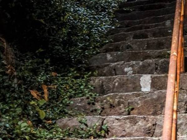 猫に付いて行って目撃した光景に「異界への入り口だ…」「不思議な世界観」