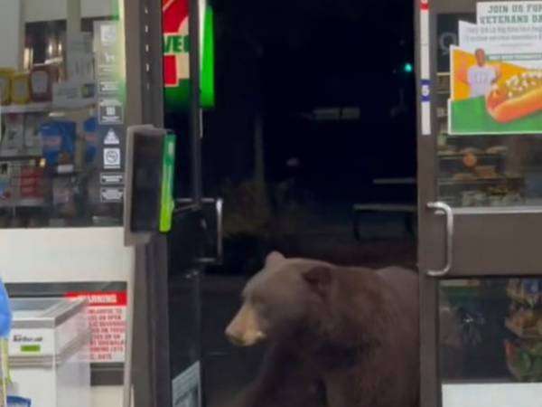 セブンイレブンに来客　『世の中に合わせた行動』に驚かされる