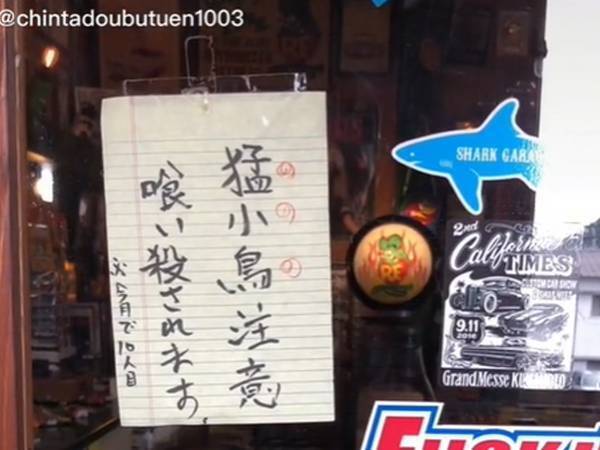 不用意に開けるのは危険！？　お店の貼り紙と『実物』のギャップが大きい