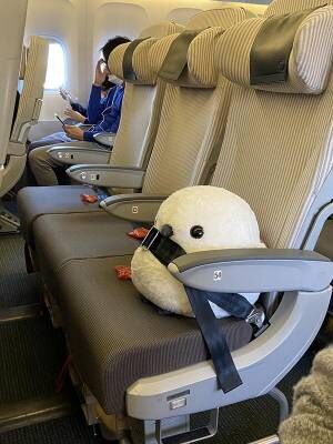 ぬいぐるみを抱えて、北海道から飛行機に乗る客　CAの行動に「素晴らしい」と称賛の声！