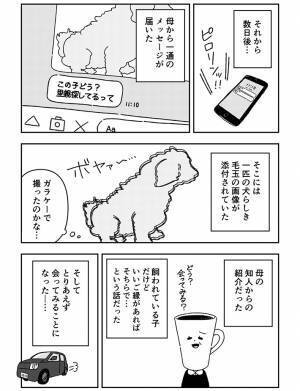 愛犬を亡くし、仕事ができなくなった男性　その後の展開に「泣いた」の声