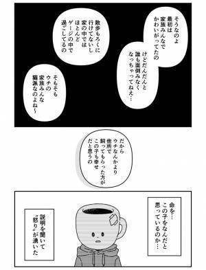 愛犬を亡くし、仕事ができなくなった男性　その後の展開に「泣いた」の声