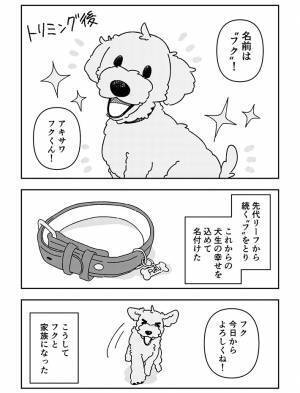 愛犬を亡くし、仕事ができなくなった男性　その後の展開に「泣いた」の声