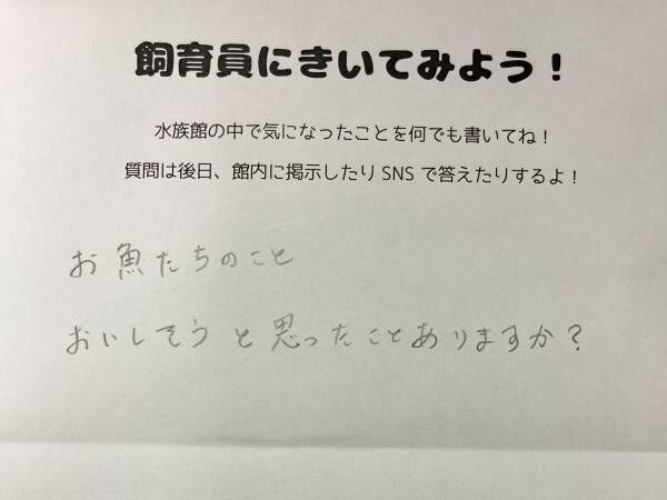 水族館員の正直な返答に「迷いがない」　来館者の質問に対し？