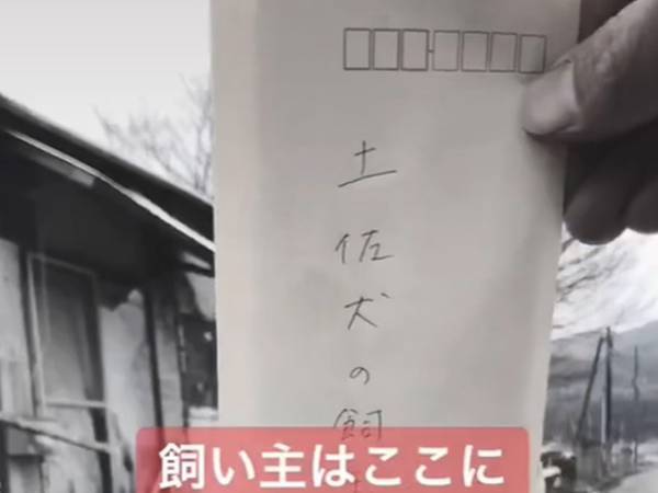 寒空の下、短い鎖につながれた土佐犬を発見　保護しようと妻が動くと？