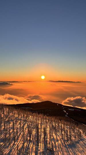 無加工の１枚に「美しい」「最高の光景」　見よ、これが世界の蔵王温泉スキー場の山頂だ！