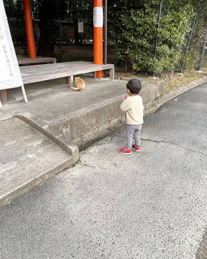 神社にお参り後、再び手を合わせる２歳児　その先にいたのは…？